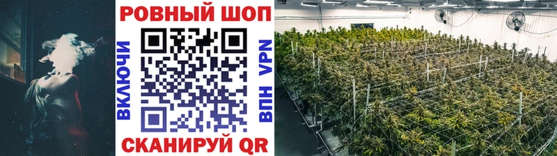 Наркотические вещества Светогорск АМФ  Гашиш  Cocaine 