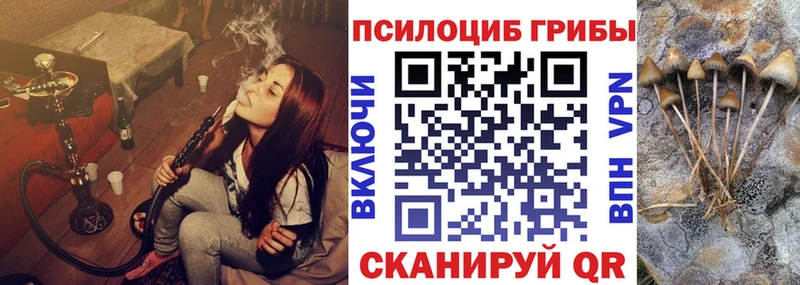 Галлюциногенные грибы ЛСД  ссылка на мегу ссылка  Светогорск 