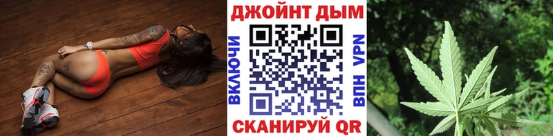 Каннабис сатива Светогорск